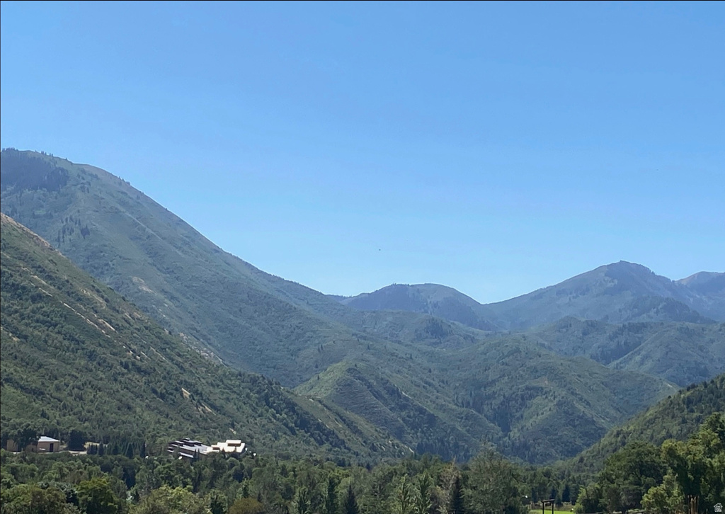 131 S MEADOW DR Springville, UT 84663