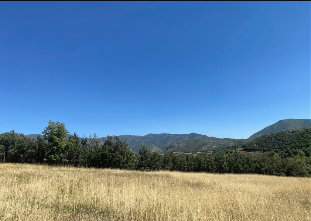 131 S MEADOW DR Springville, UT 84663