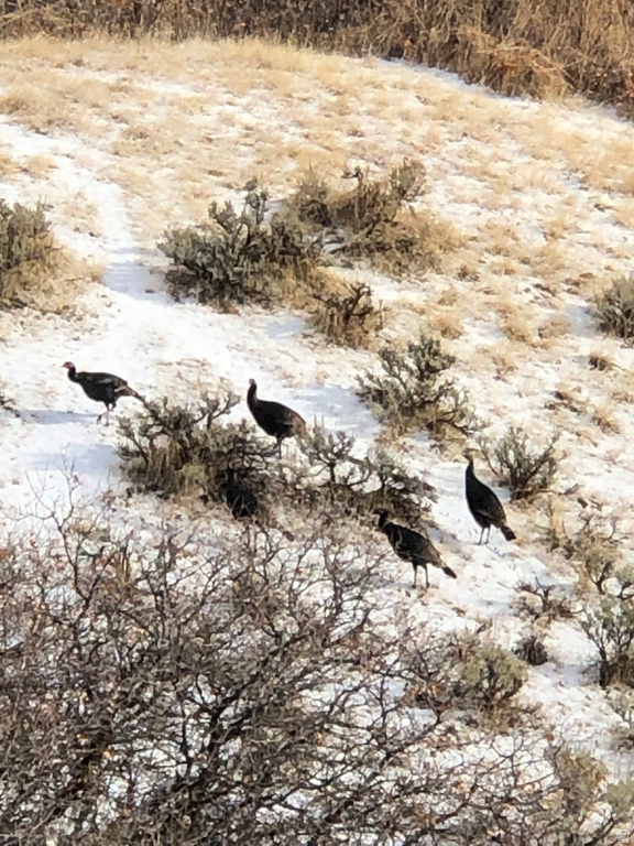 131 S MEADOW DR Springville, UT 84663