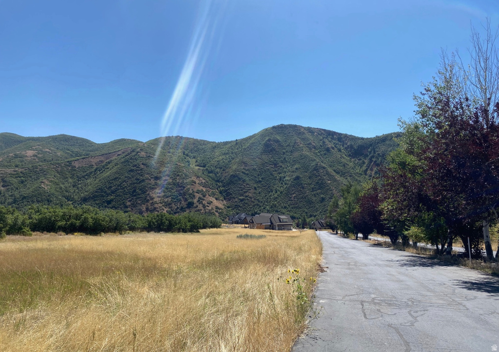 131 S MEADOW DR Springville, UT 84663