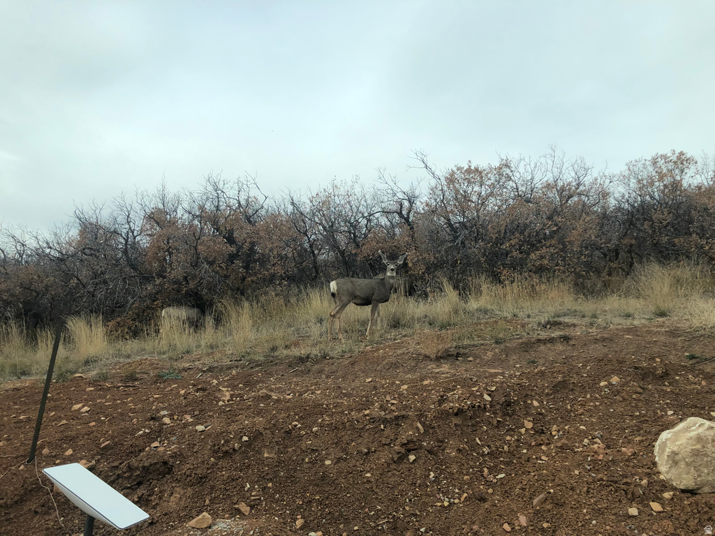 131 S MEADOW DR Springville, UT 84663