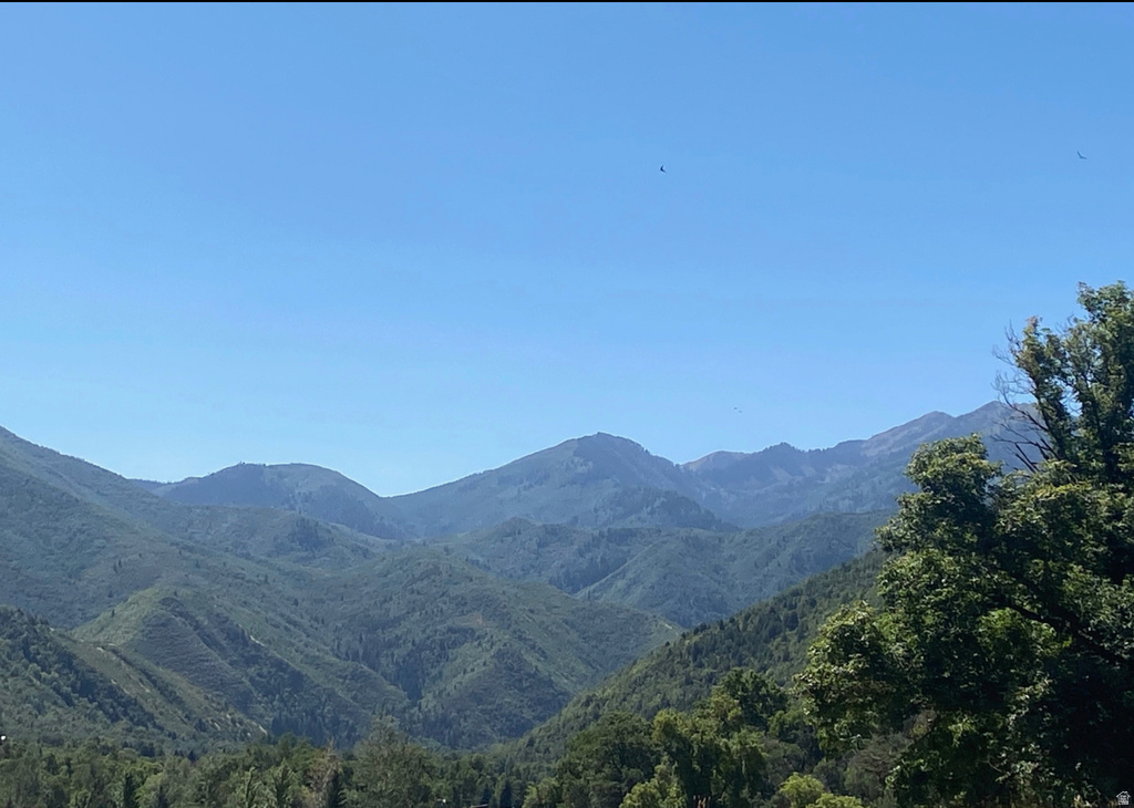 169 S MEADOW DR Springville, UT 84663