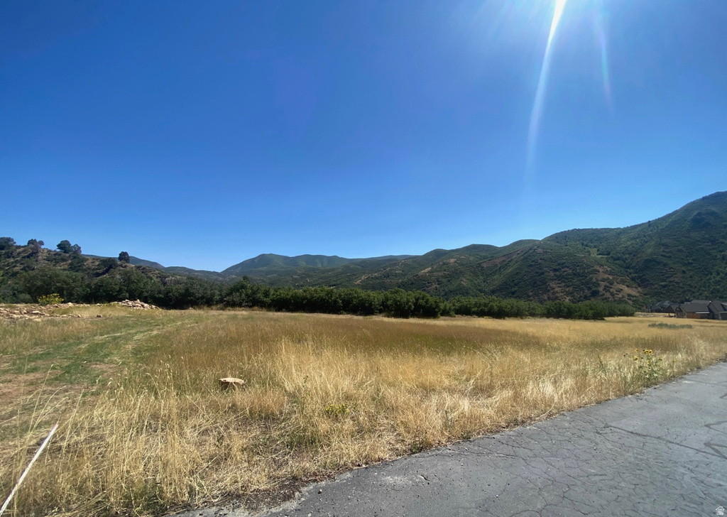 169 S MEADOW DR Springville, UT 84663