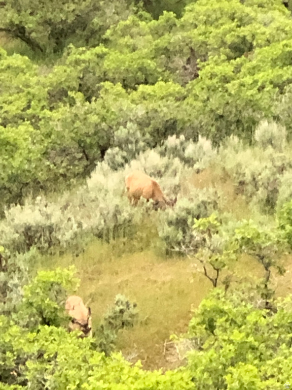 169 S MEADOW DR Springville, UT 84663