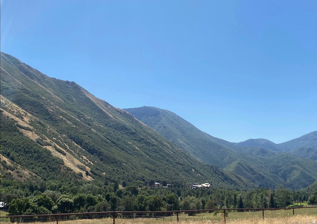 169 S MEADOW DR Springville, UT 84663