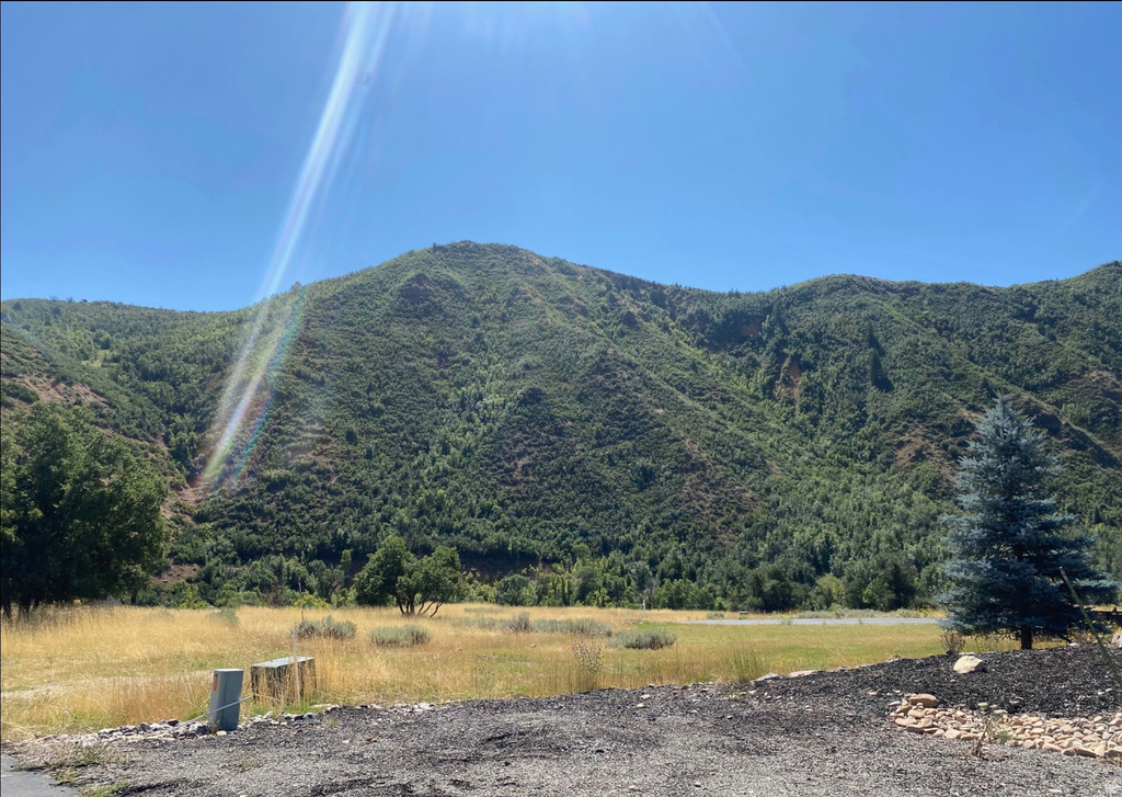 169 S MEADOW DR Springville, UT 84663