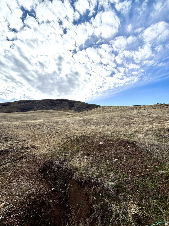 790 W ELK RUN DR Morgan, UT 84050