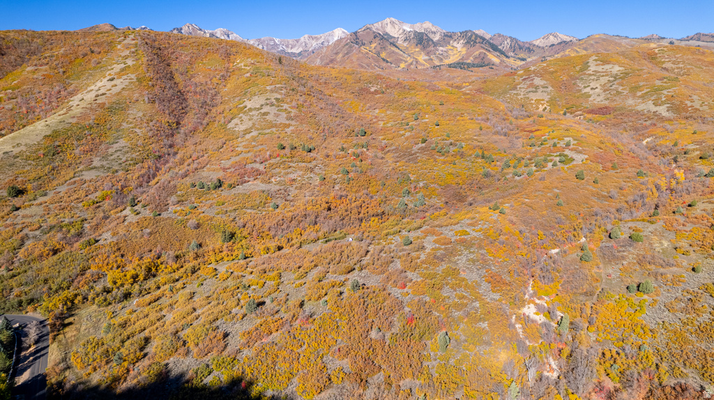 541 S LEFT FORK HOBB RD Springville, UT 84663