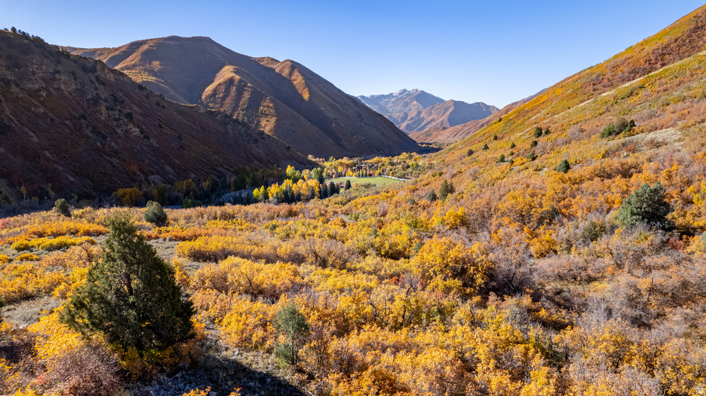 541 S LEFT FORK HOBB RD Springville, UT 84663