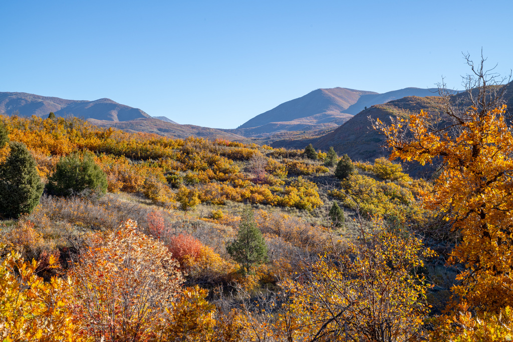 541 S LEFT FORK HOBB RD Springville, UT 84663