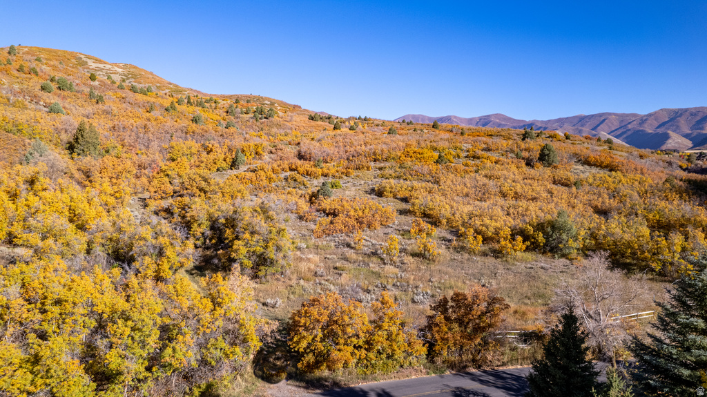 541 S LEFT FORK HOBB RD Springville, UT 84663