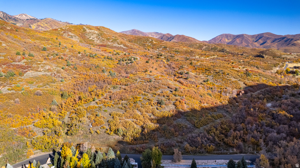 541 S LEFT FORK HOBB RD Springville, UT 84663