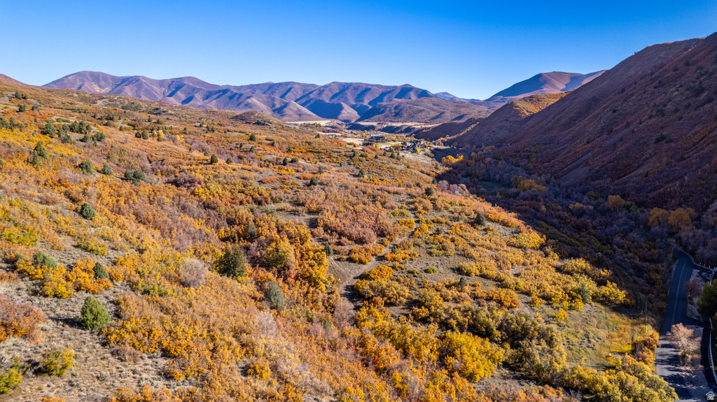 541 S LEFT FORK HOBB RD Springville, UT 84663