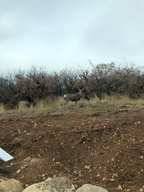 541 S LEFT FORK HOBB RD Springville, UT 84663