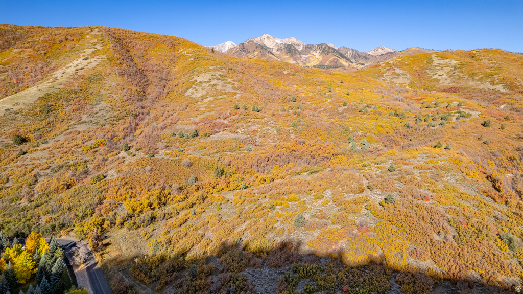 541 S LEFT FORK HOBB RD Springville, UT 84663