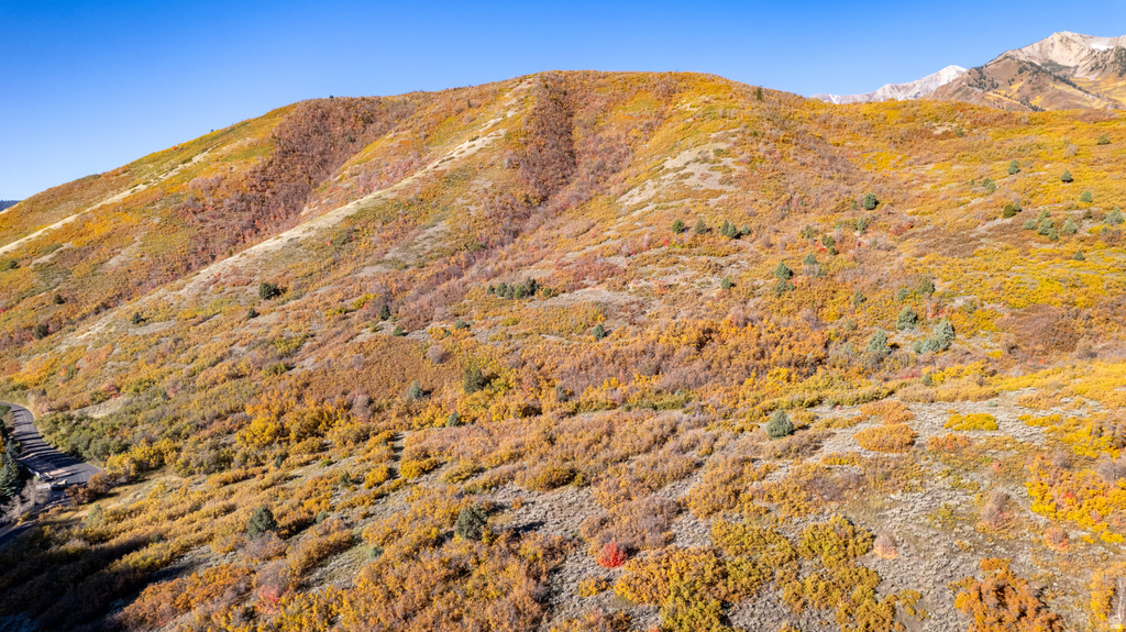 541 S LEFT FORK HOBB RD Springville, UT 84663