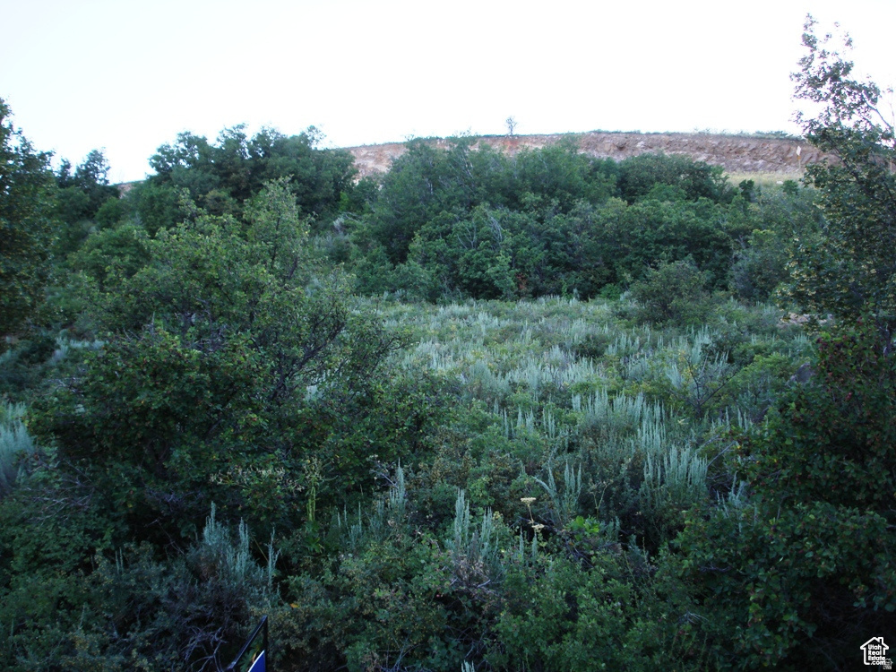 1041 S LAKEVIEW DR Garden City, UT 84028