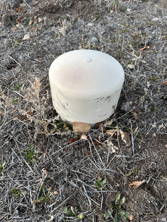 67 N 300 W Panguitch, UT 84759