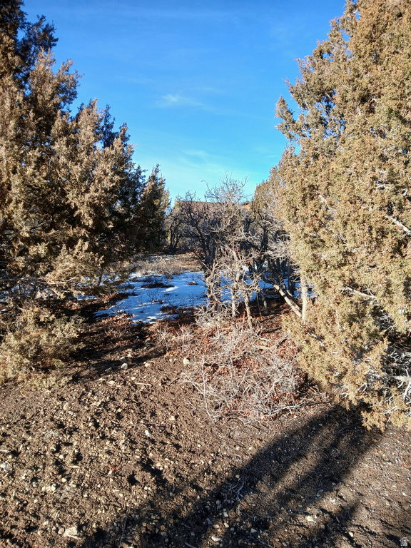 226  WHISPERING PINES 3 Mt Pleasant, UT 84647