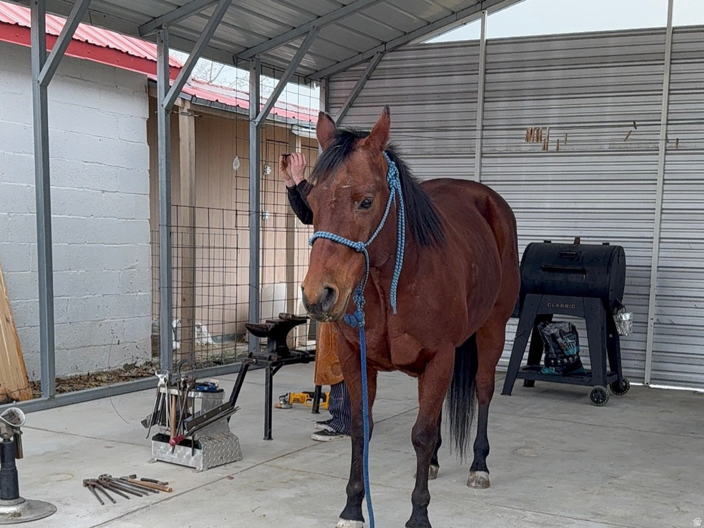 5015 S 6700 W Hooper, UT 84315