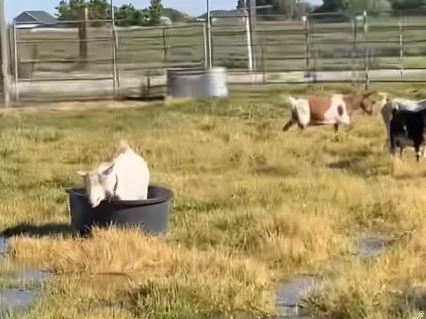 5015 S 6700 W Hooper, UT 84315