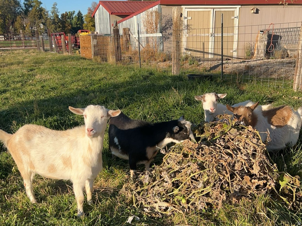 5015 S 6700 W Hooper, UT 84315