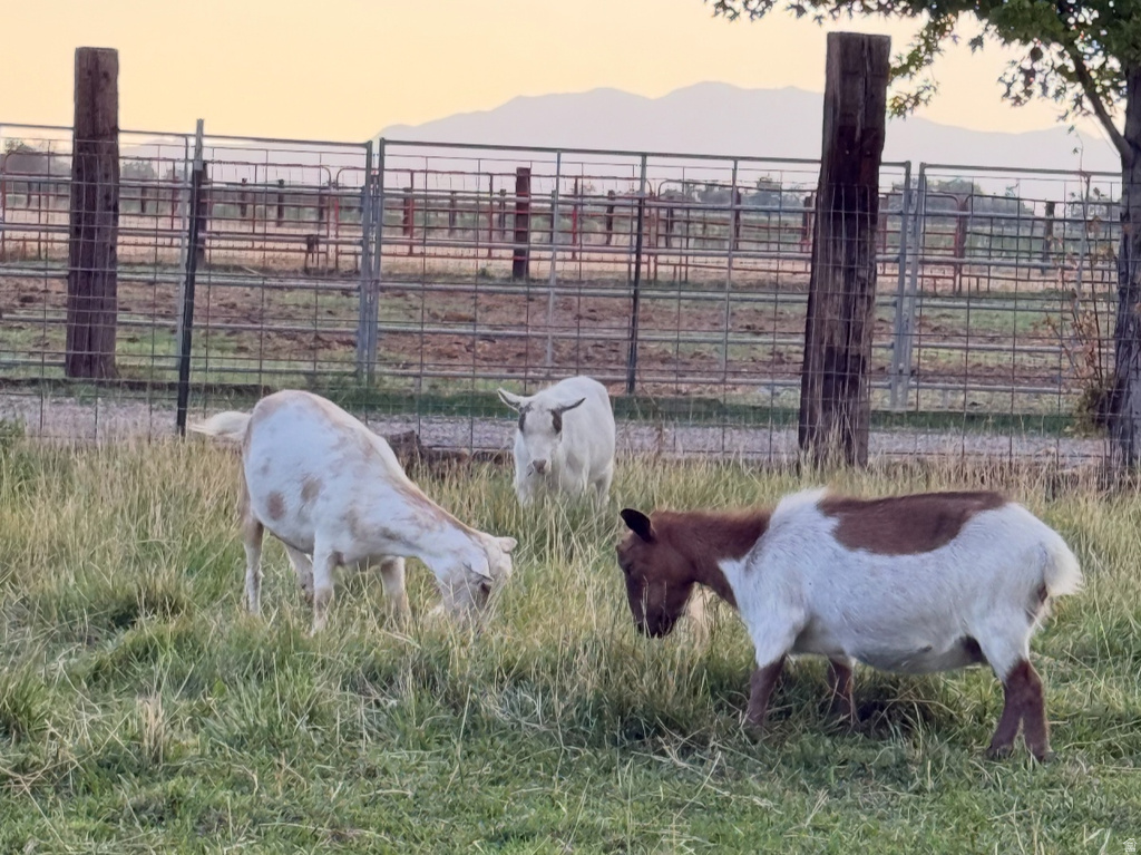 5015 S 6700 W Hooper, UT 84315