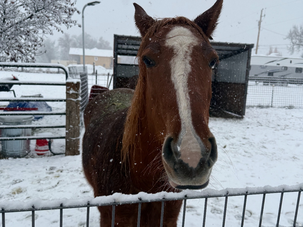 5015 S 6700 W Hooper, UT 84315