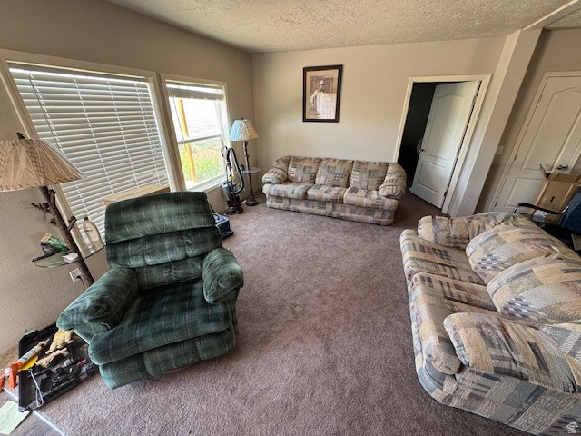 42 S MULLEY FLATS DR DR #42 Fairview, UT 84629