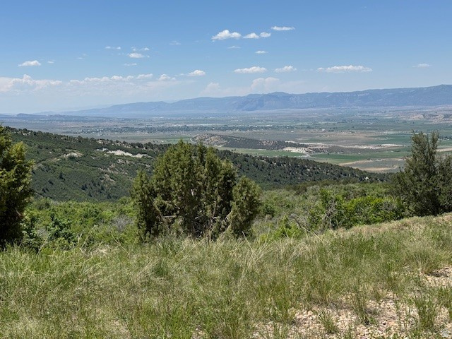 42 S MULLEY FLATS DR DR #42 Fairview, UT 84629