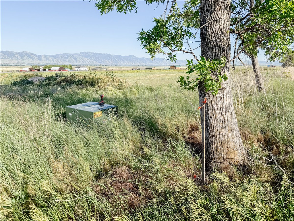 7150 N 4800 W Newton, UT 84327