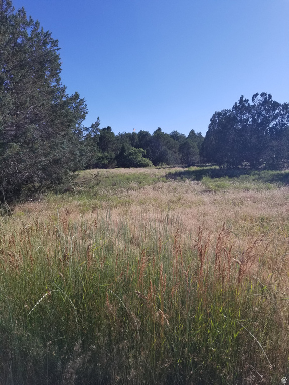 2835 E 2200 S New Harmony, UT 84757