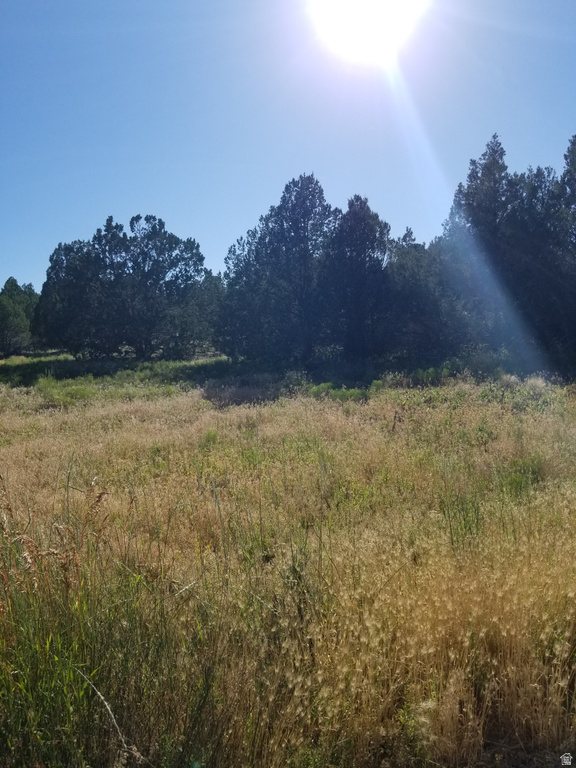 2835 E 2200 S New Harmony, UT 84757