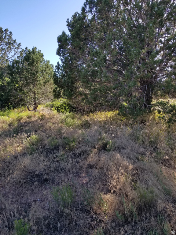 2835 E 2200 S New Harmony, UT 84757