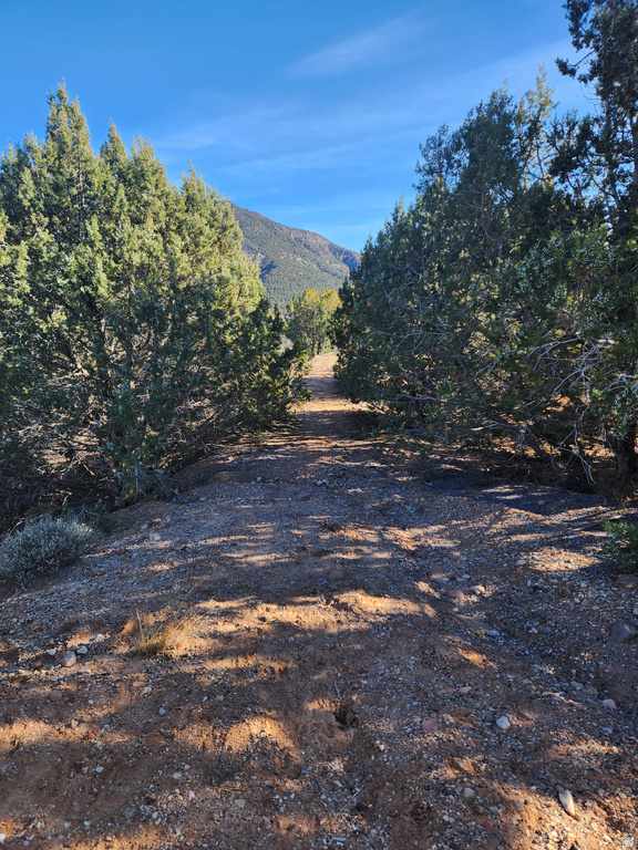 2835 E 2200 S New Harmony, UT 84757