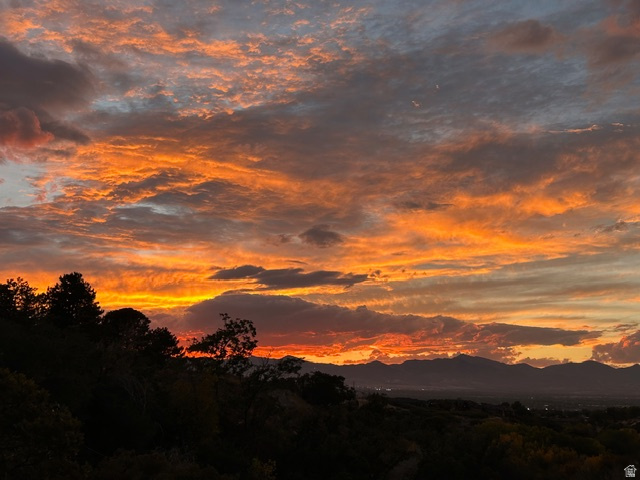 1835 E DIMPLE DELL RD Sandy, UT 84092