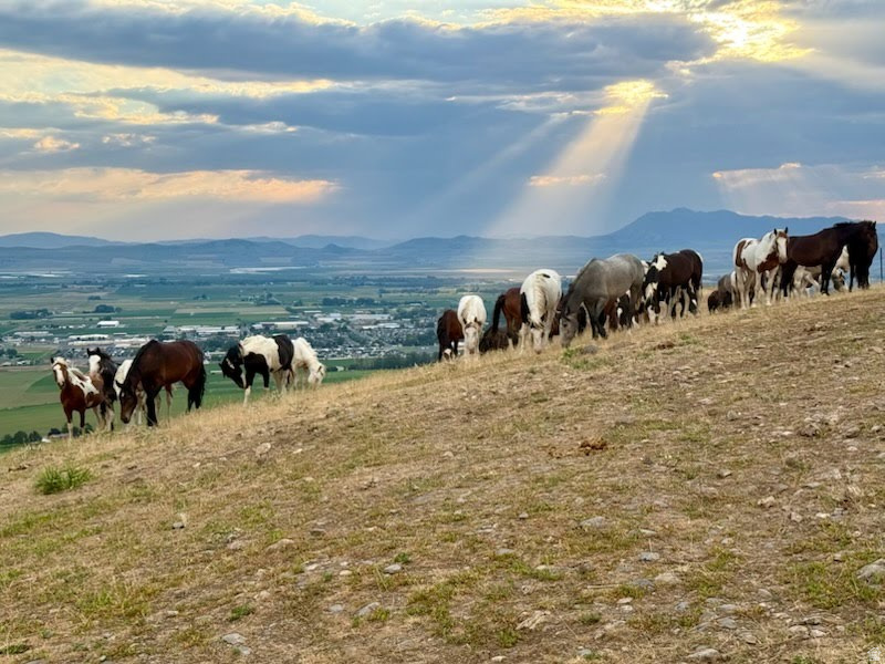 555 N 750 E Hyde Park, UT 84318