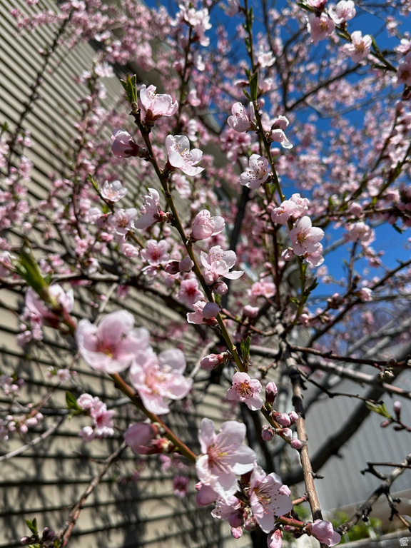 555 N 750 E Hyde Park, UT 84318