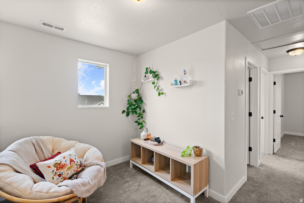 3329 S CLAIRE AVE Syracuse, UT 84075