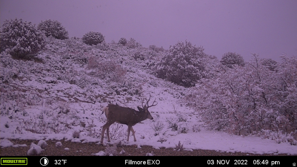 1100 S DEER PASTURE RD Fillmore, UT 84631