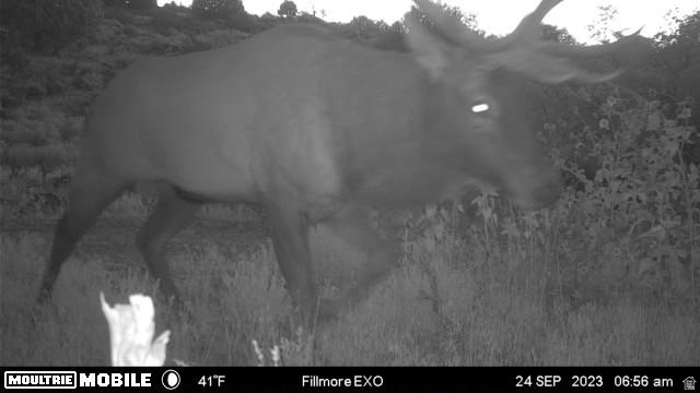 1100 S DEER PASTURE RD Fillmore, UT 84631