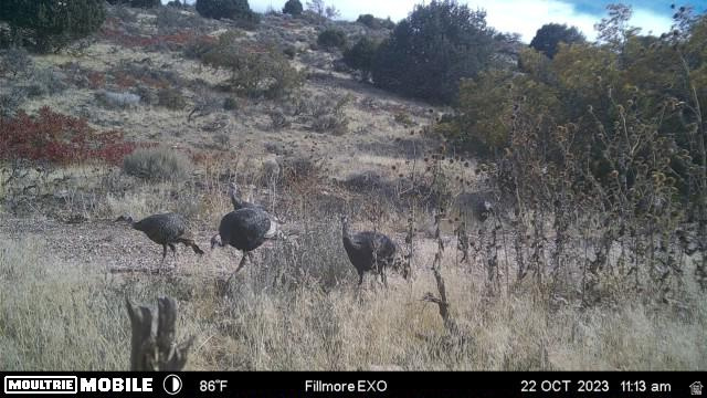 1100 S DEER PASTURE RD Fillmore, UT 84631