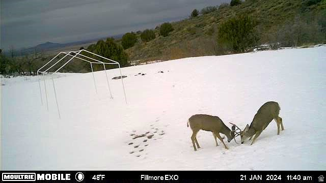 1100 S DEER PASTURE RD Fillmore, UT 84631