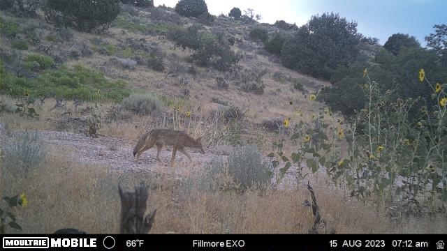 1100 S DEER PASTURE RD Fillmore, UT 84631