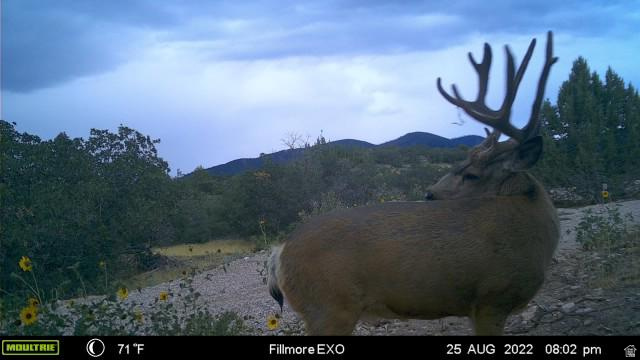 1100 S DEER PASTURE RD Fillmore, UT 84631