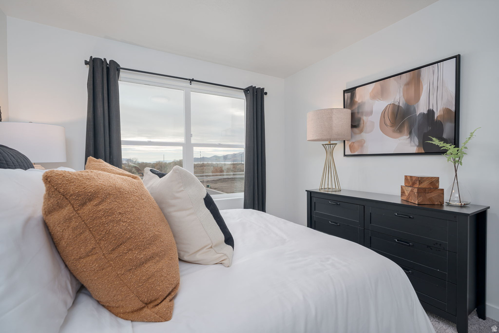 509 S 1160 W American Fork, UT 84003