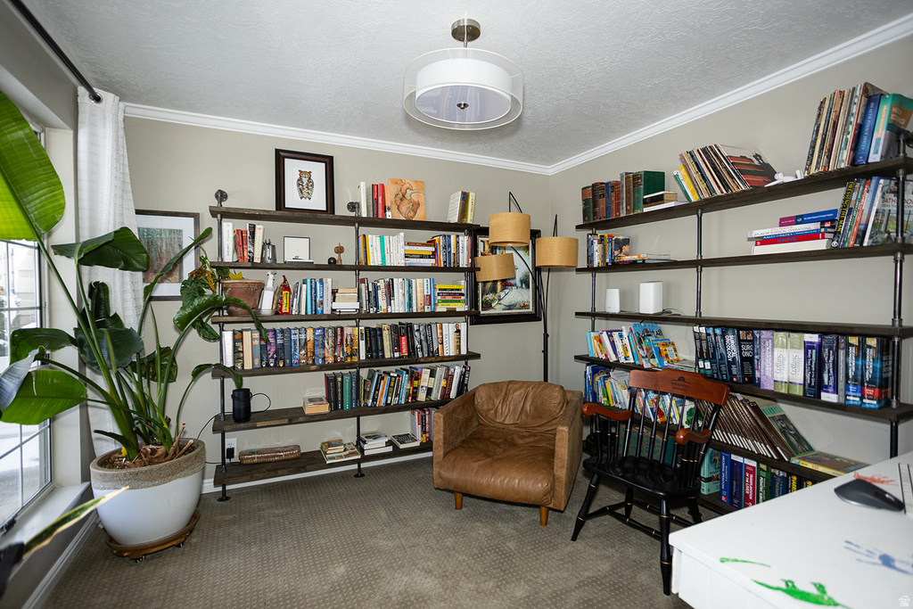 10886 N HIGHLAND CIR Highland, UT 84003