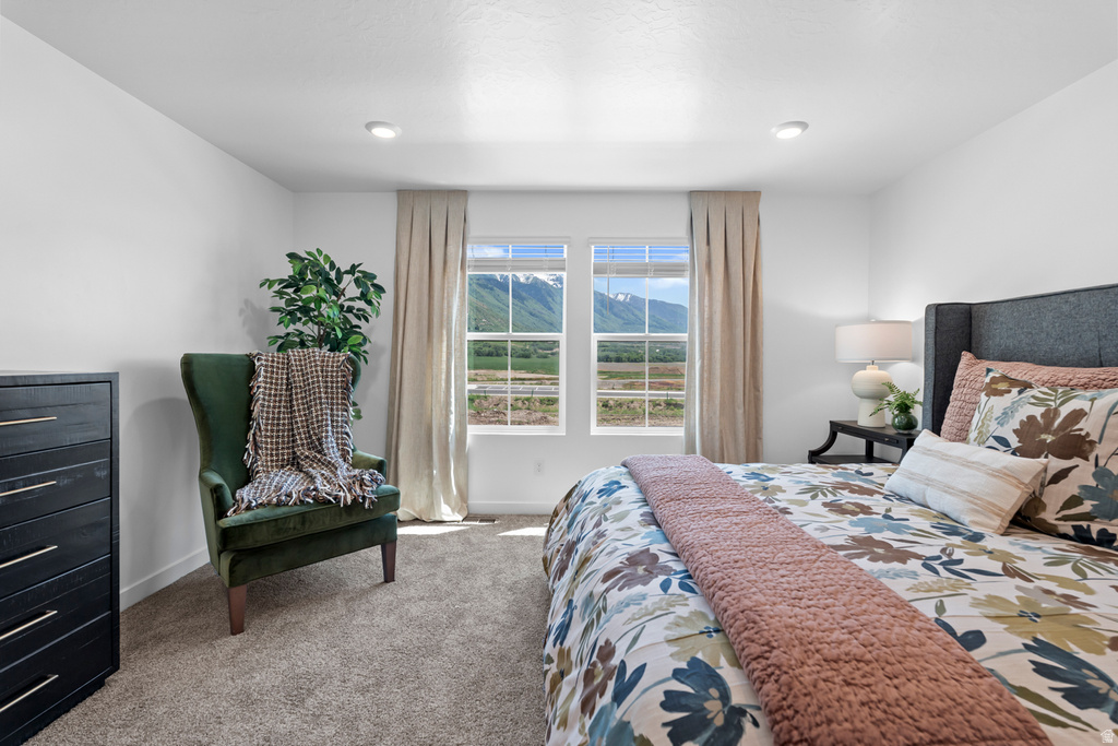 1902 E ALBION DR #189 Salem, UT 84653