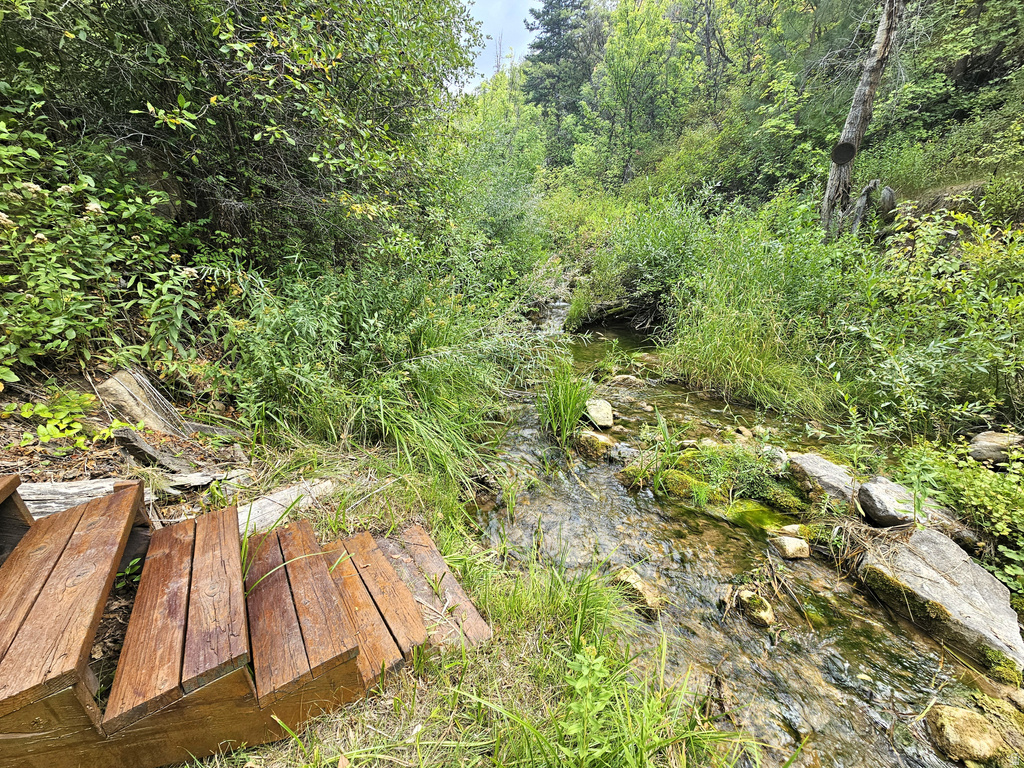 26 BIRCH CREEK DR #D26&28 Fairview, UT 84629