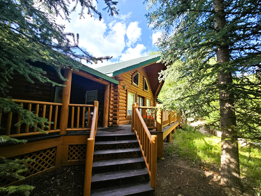 26 BIRCH CREEK DR #D26&28 Fairview, UT 84629